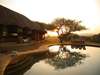 Lewa Safari Camp - Pool View 